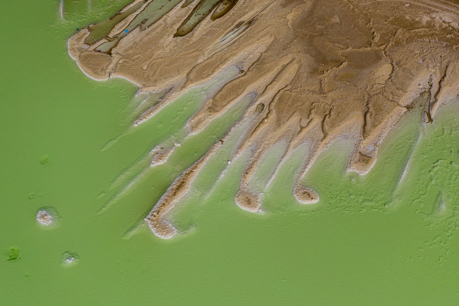 Salt lake Abu dhabi, United Arab Emirates