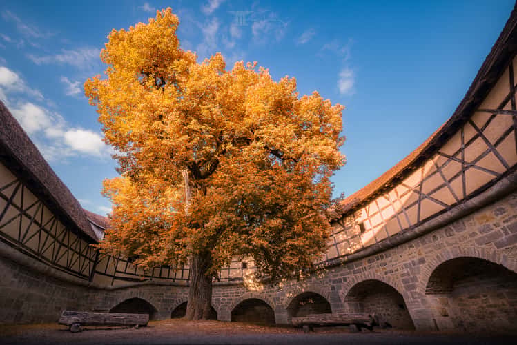 Spital Bastion | Fanghof, Rothenburg ob der Tauber