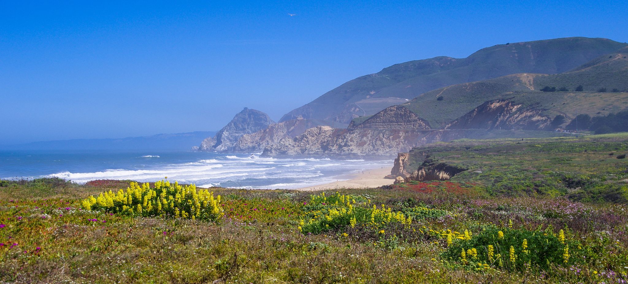 Summertime will be a loving day, USA