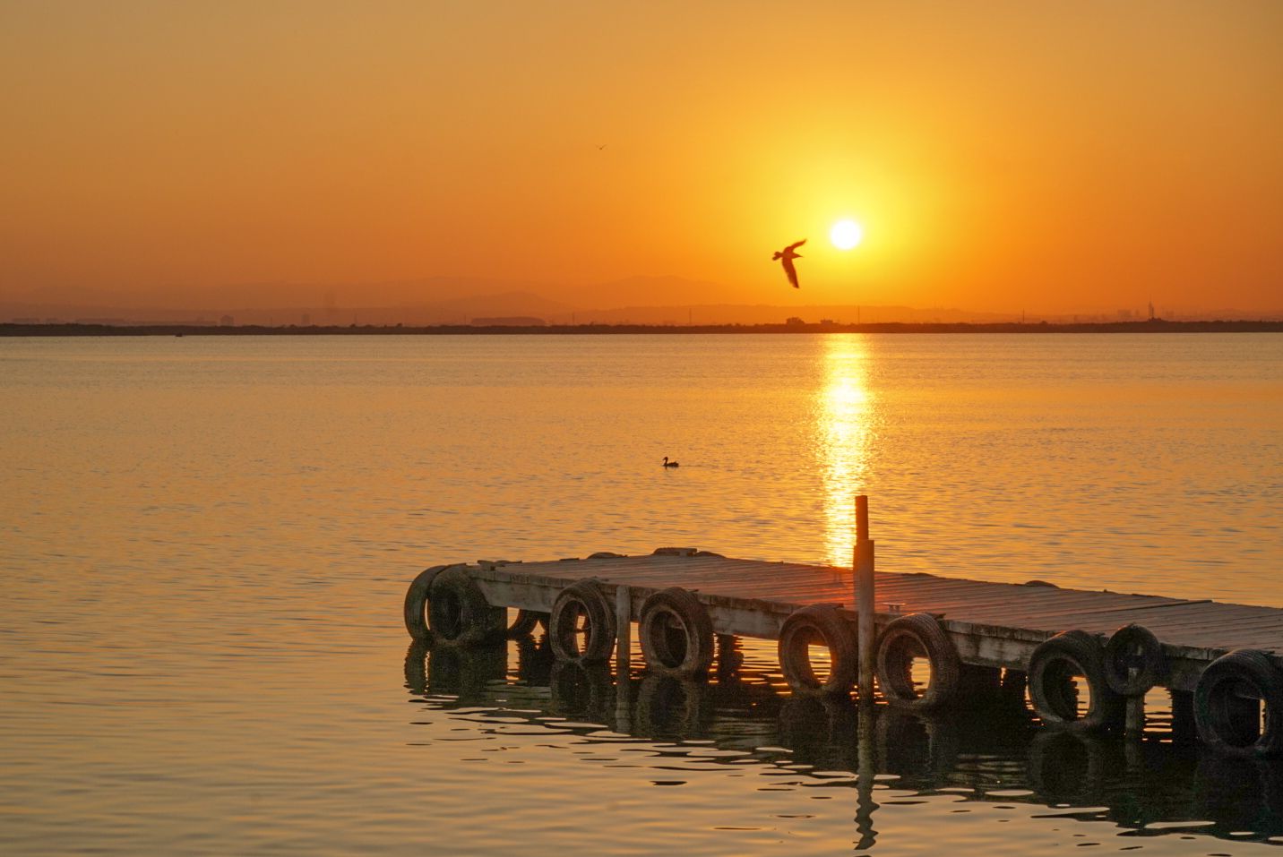 Sunset at the Natural Park of Albufera, Valencia, Spain