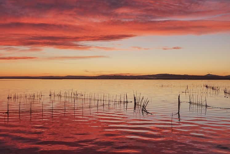 Sunset at the Natural Park of Albufera, Valencia