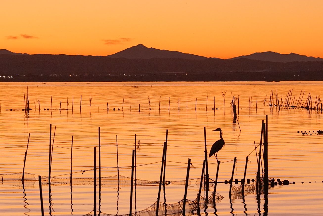 Sunset at the Natural Park of Albufera, Valencia, Spain