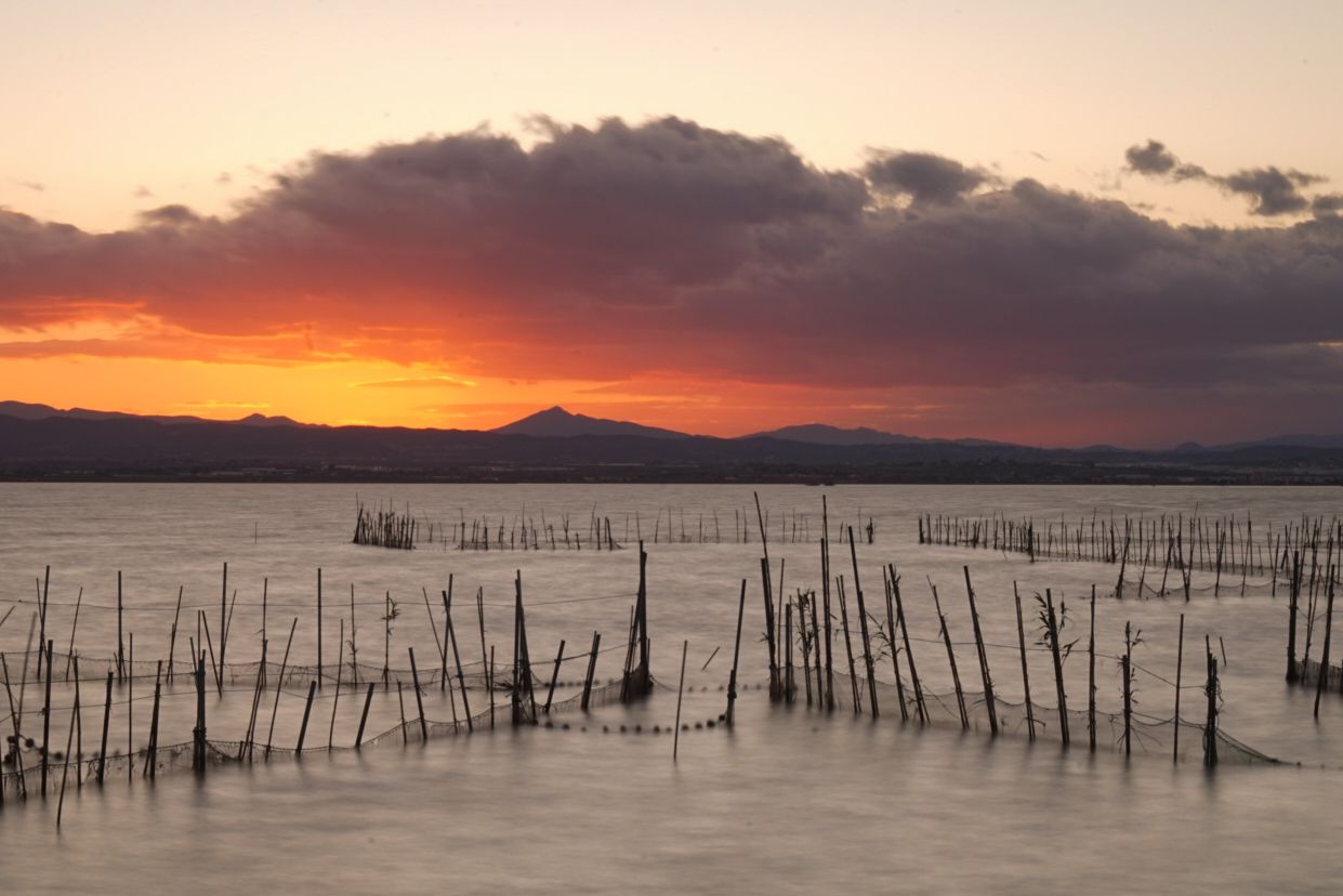 Sunset at the Natural Park of Albufera, Valencia, Spain