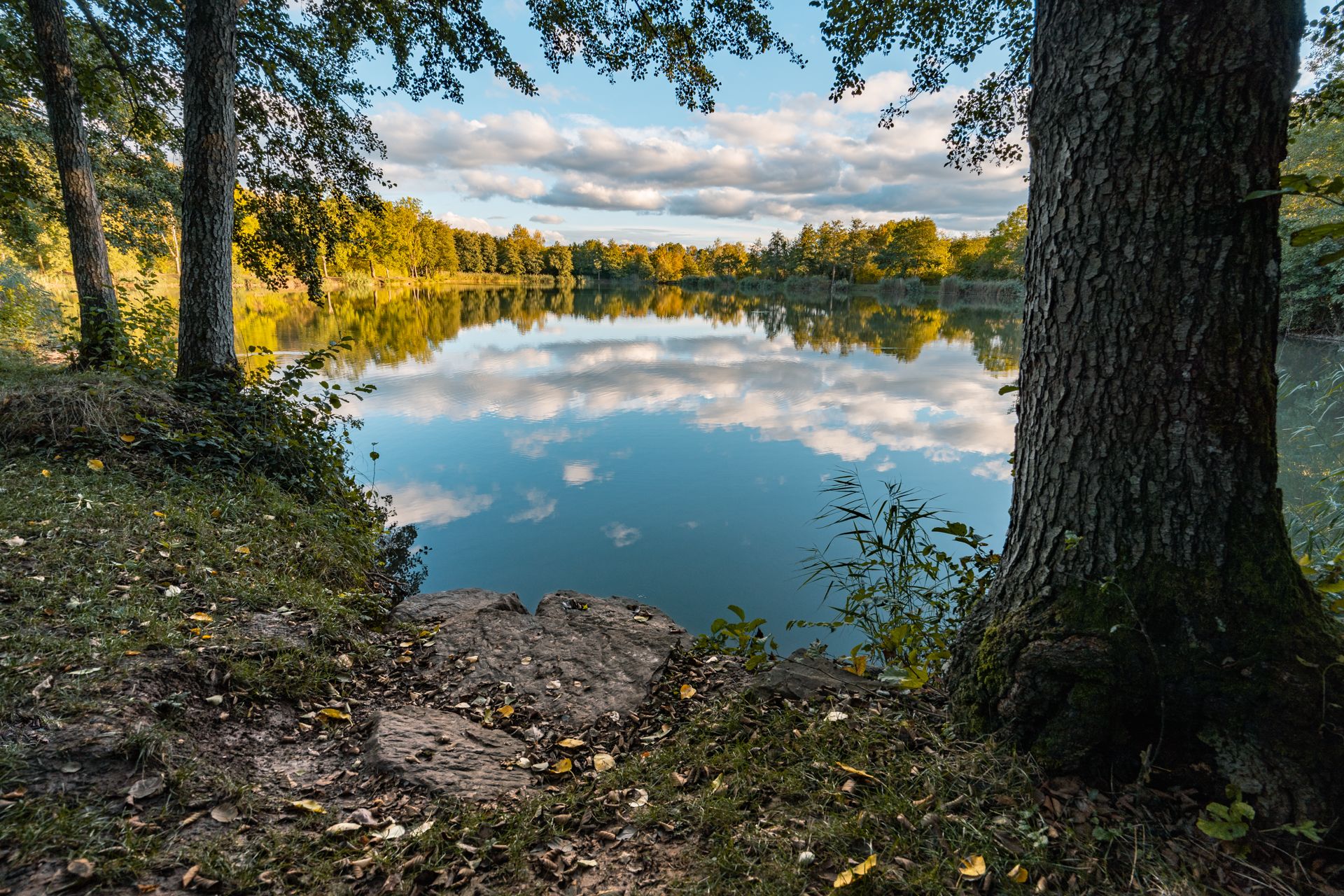 Unterer Seewaldsee bei Horrheim, Germany