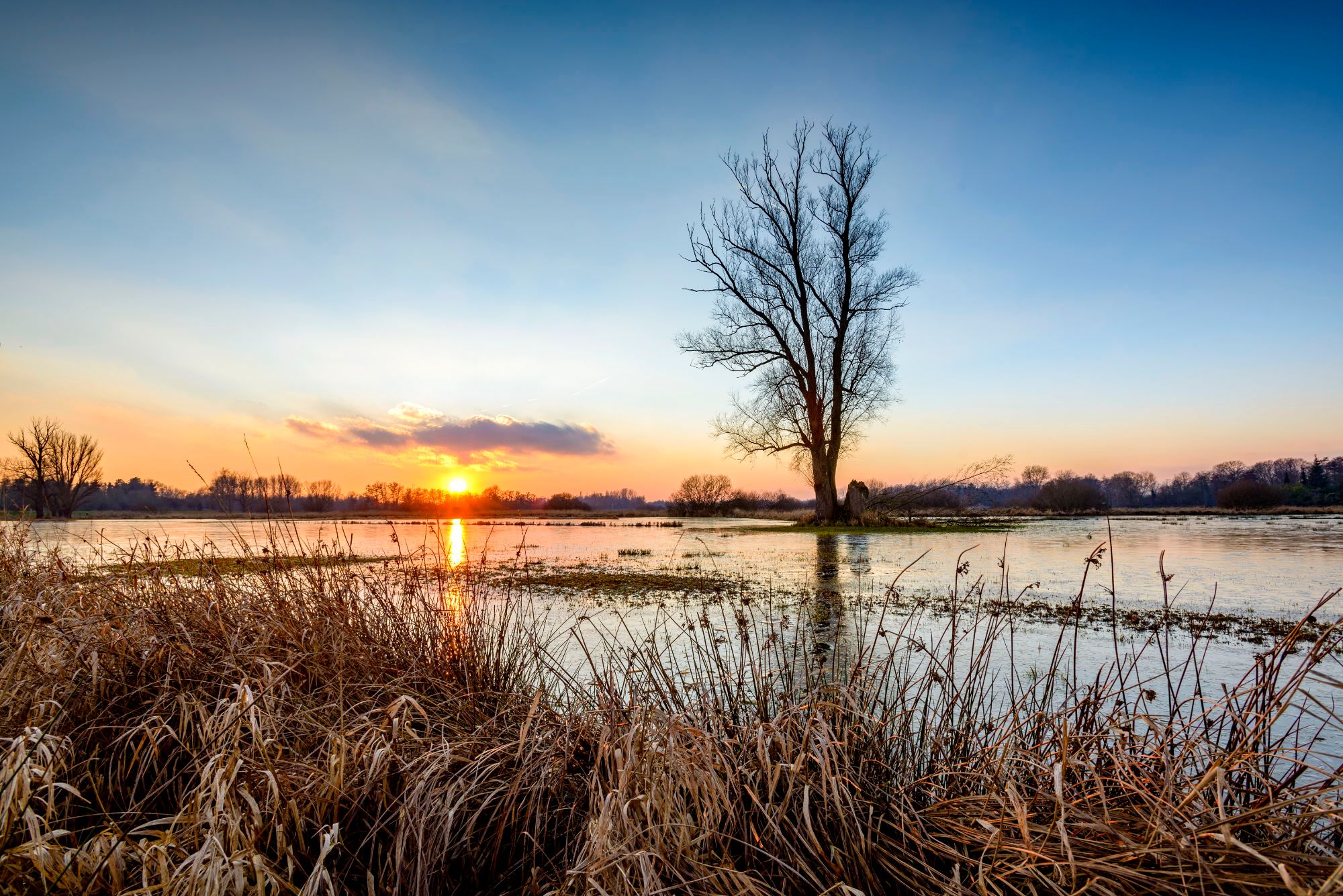 Viersel gebroekt, Belgium