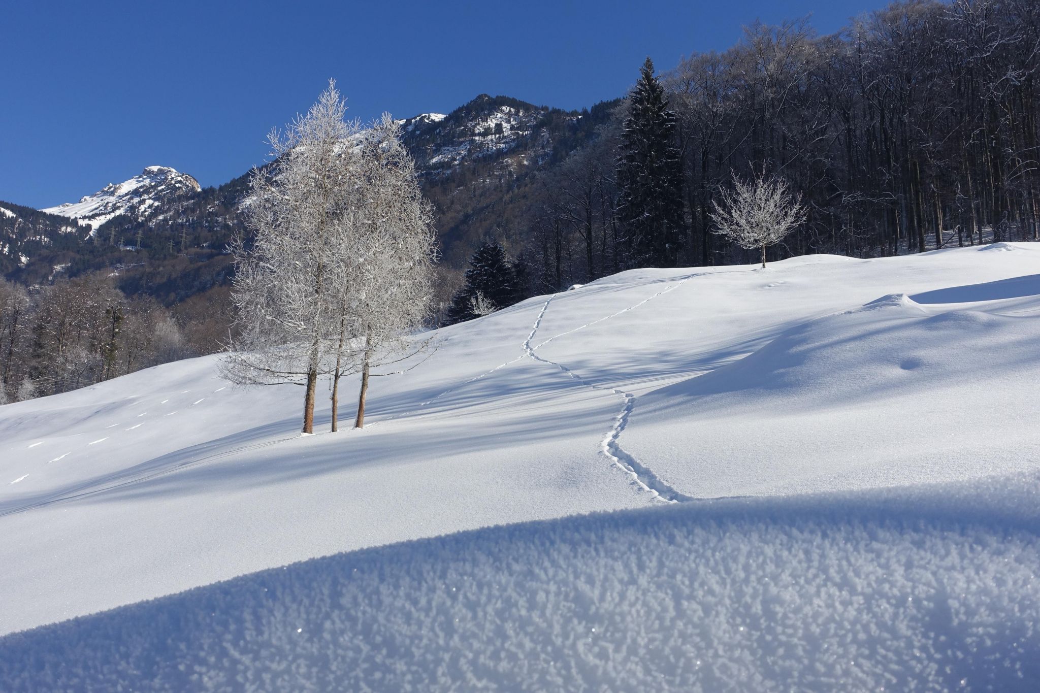 View on Mitlödi/GL, Switzerland