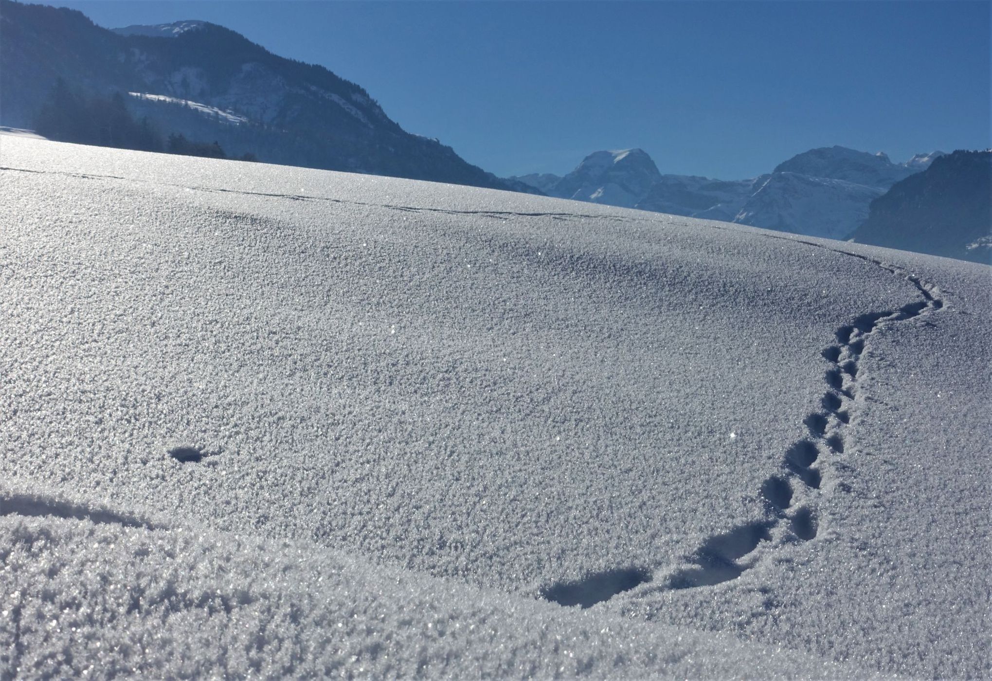 View on Mitlödi/GL, Switzerland
