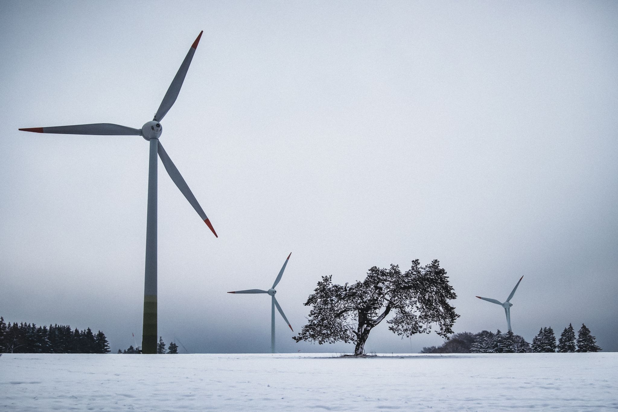 Where Modern meets Nature, Germany