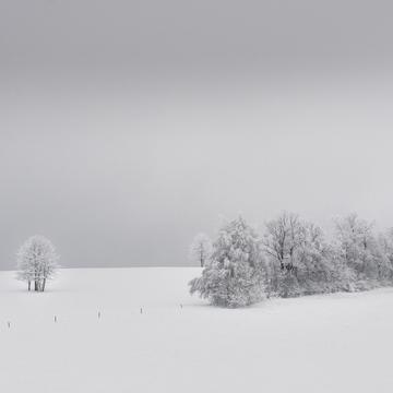 White winter, Czech Republic