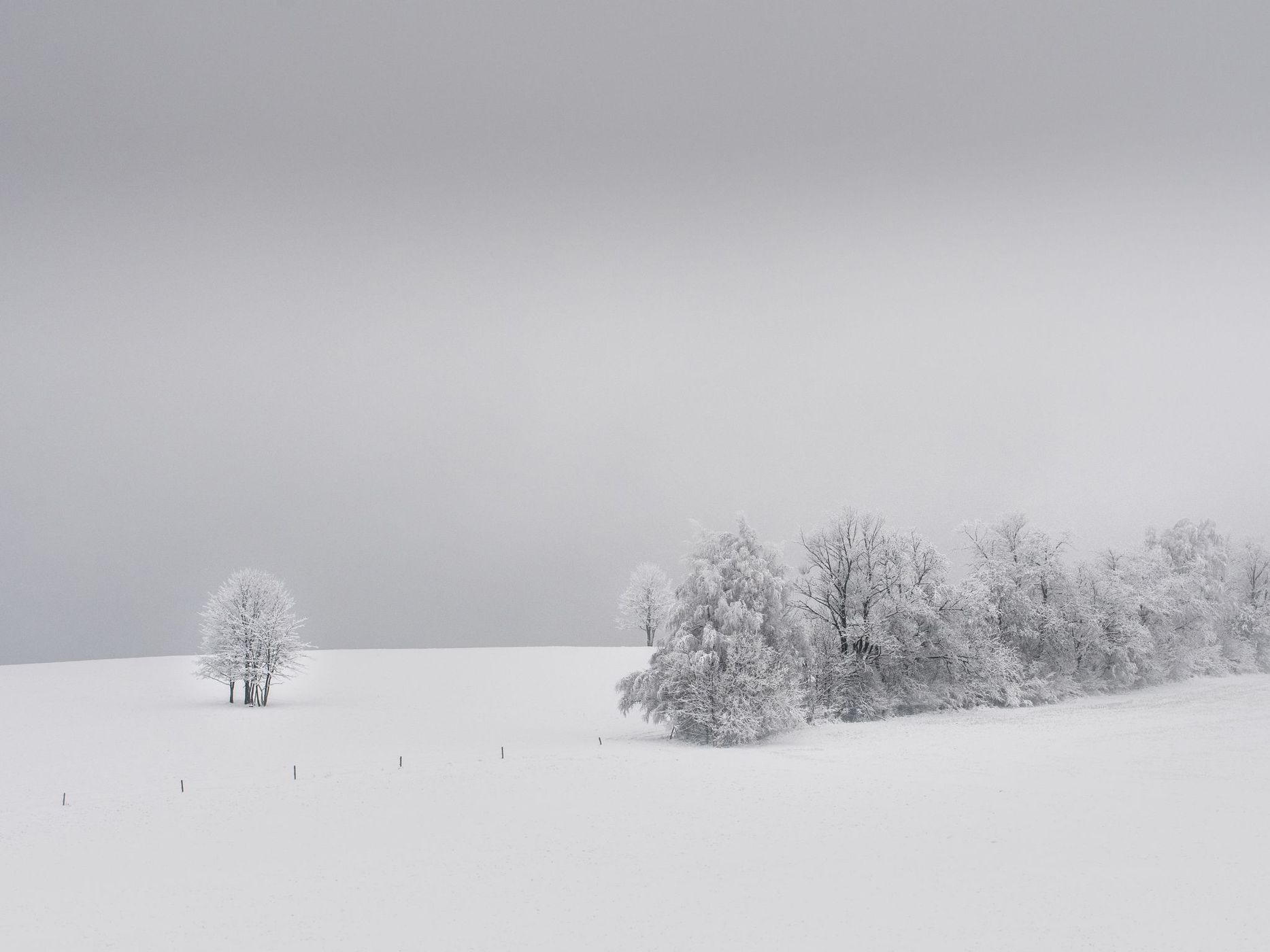 White winter, Czech Republic