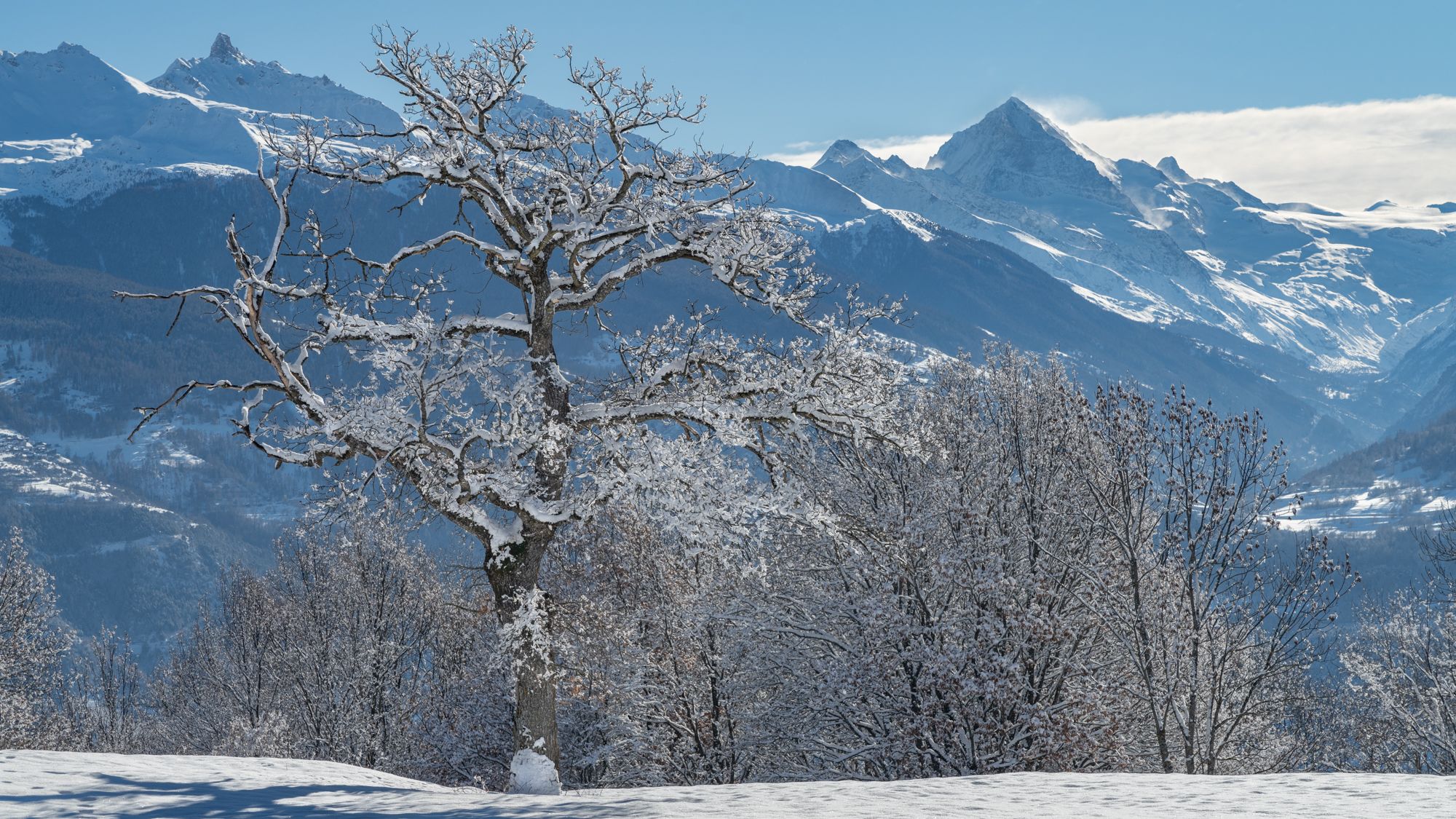 Winter in Savièse, Switzerland