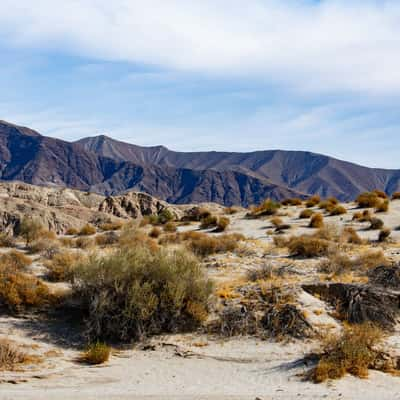 Anza Borrego, USA