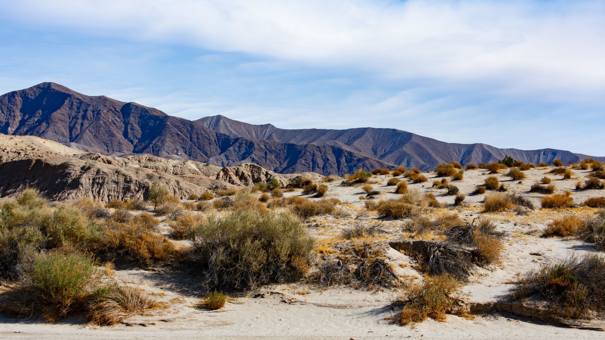 Anza Borrego, USA