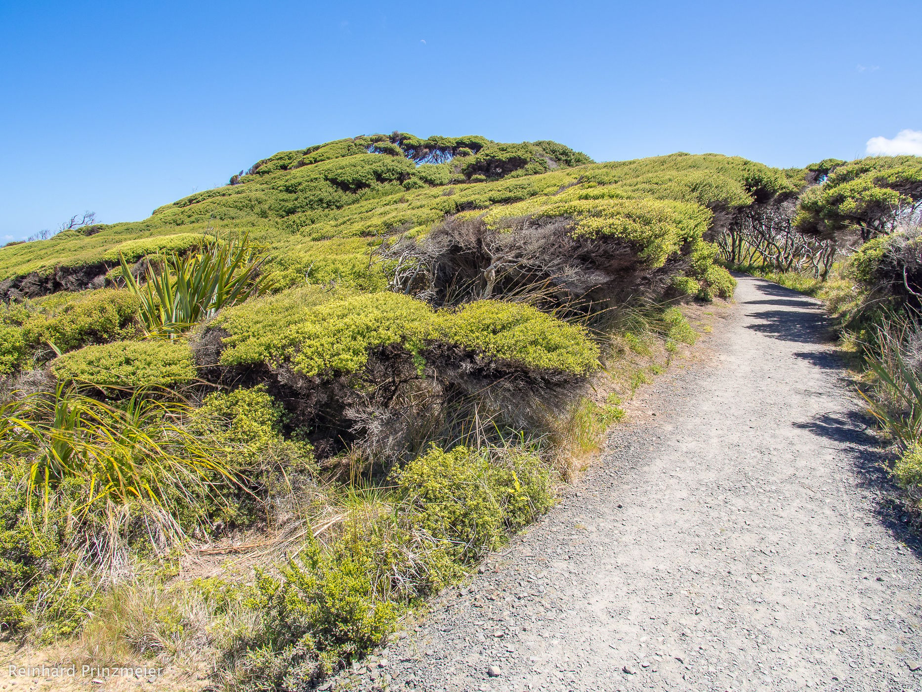 Arai te Uru Nature Reserve, New Zealand