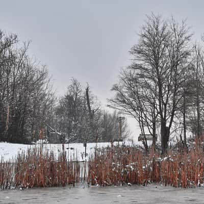 Barn Hill Pond, United Kingdom