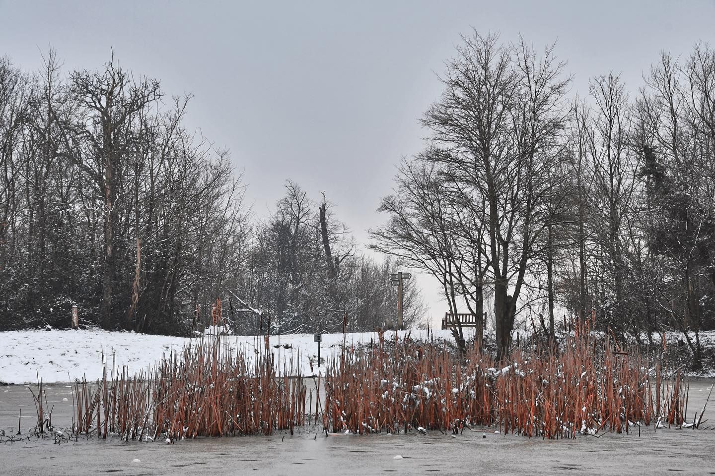 Barn Hill Pond, United Kingdom