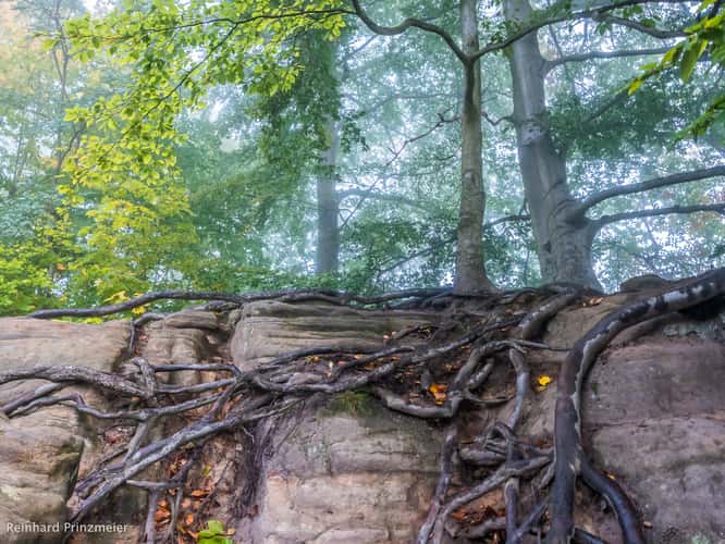 Bastei, Saxon Switzerland