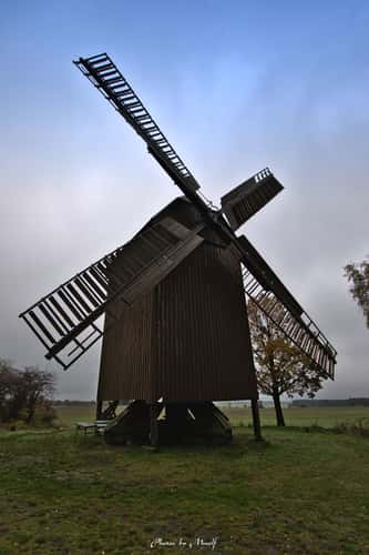 Bockwindmühle Borne