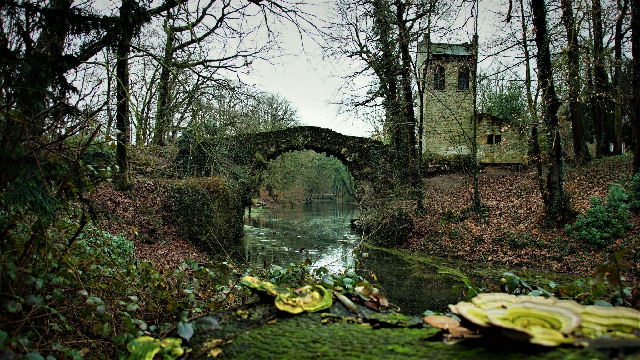 Bridge in Boekenberg park., Belgium