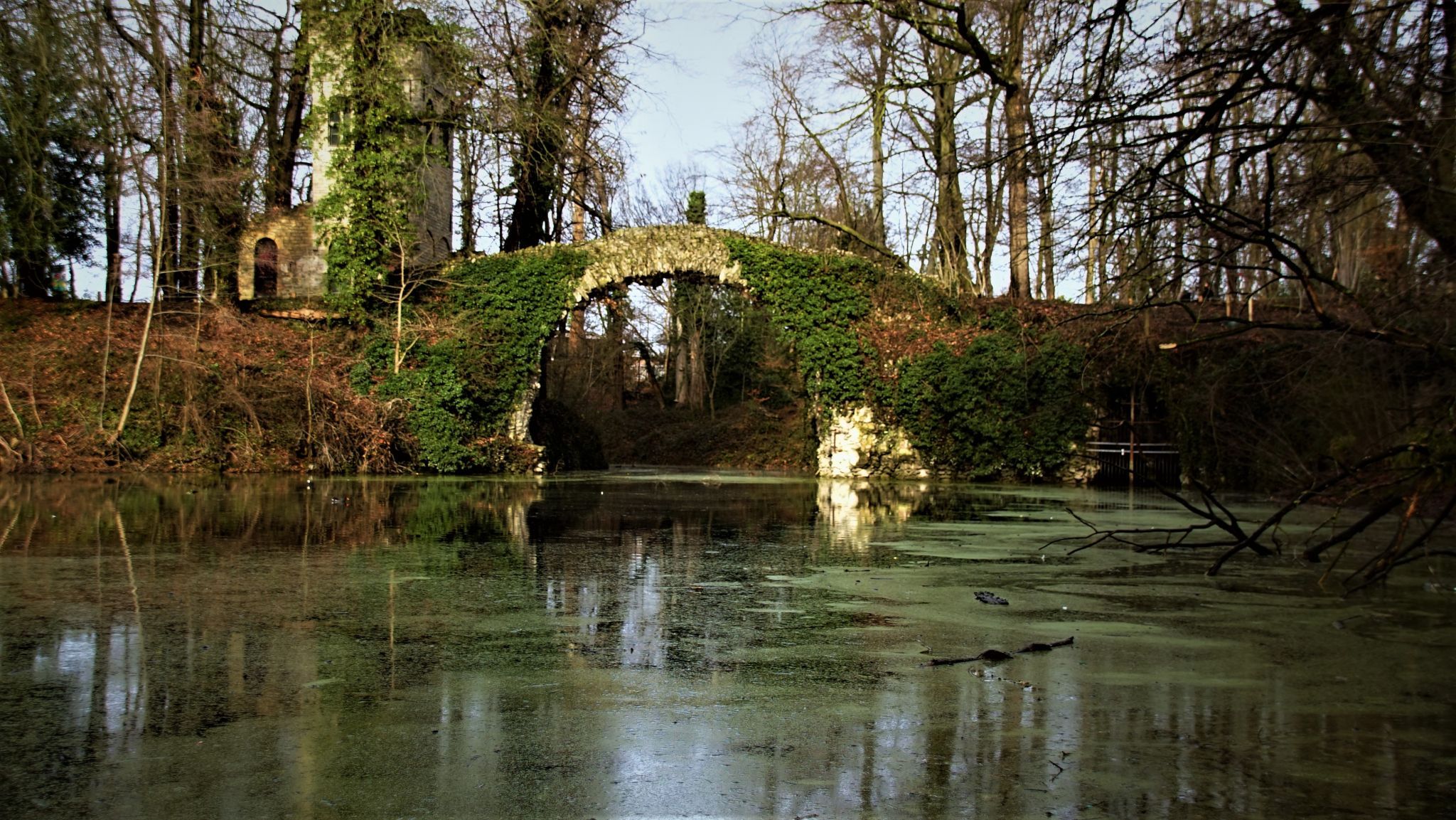 Bridge in Boekenberg park., Belgium