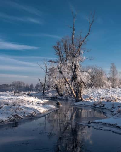 Bridge over Jeziorka River