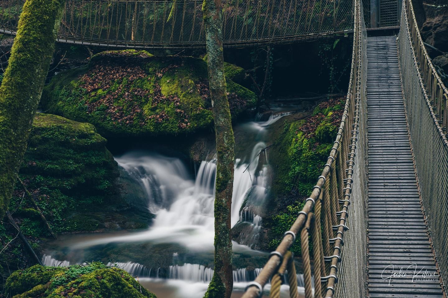 Butzerbachtal, Trier, Germany