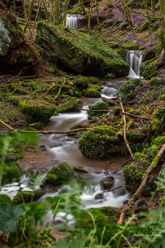 Butzerbachtal, Trier