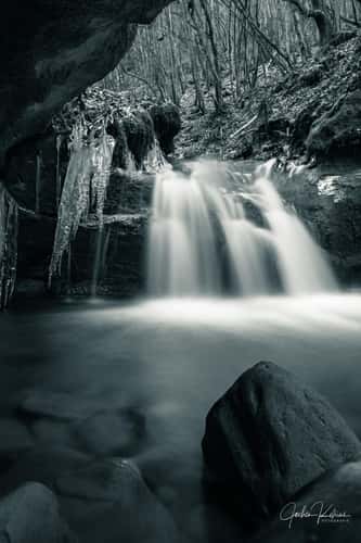 Butzerbachtal, Trier