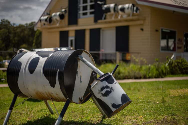 Cows Bodalla Dairy Shed Factory Bodalla New South Wales