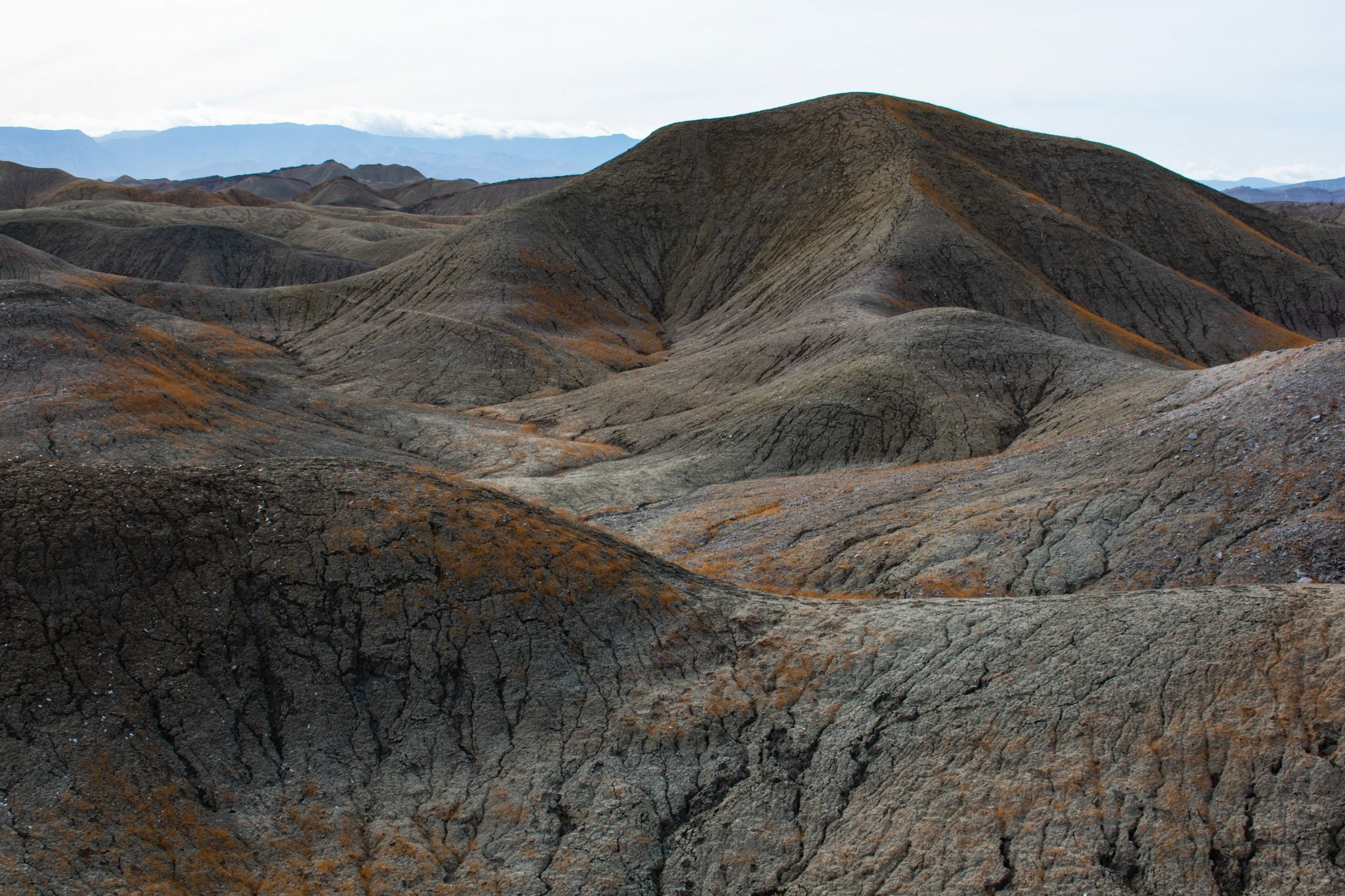 Elephant Knees, USA