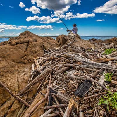 Fisherman in the driftwood Moruya Heads NSW, Australia