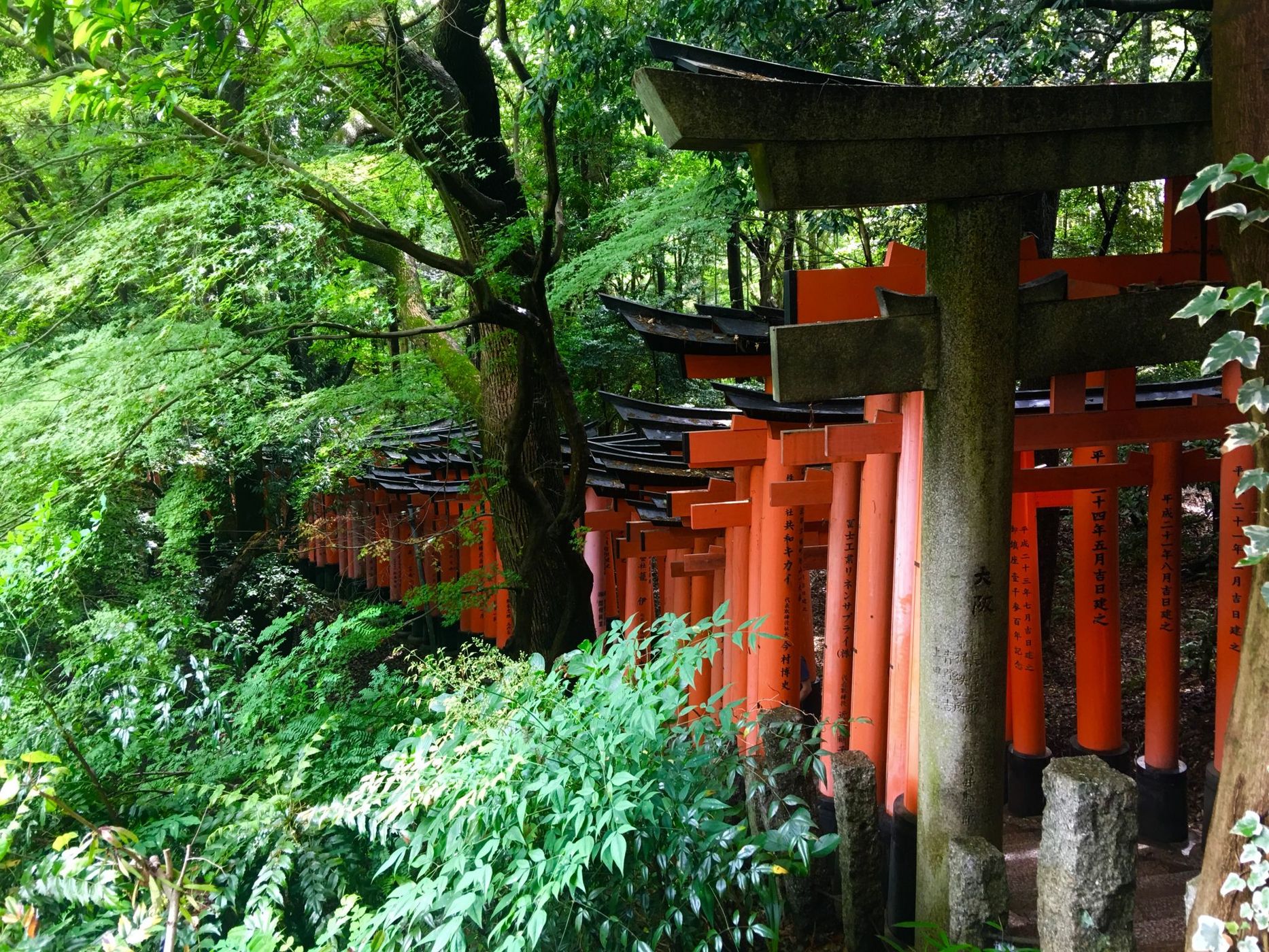 Fushimi Inari Shrine, Japan