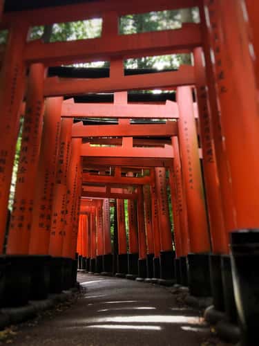 Fushimi Inari Shrine
