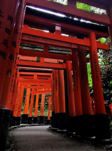 Fushimi Inari Shrine