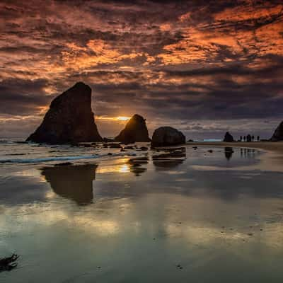 Glasshouse Rocks Sunrise Narooma New South Wales, Australia