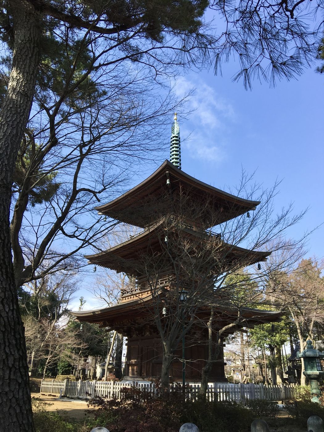Gotokuji Temple, Japan
