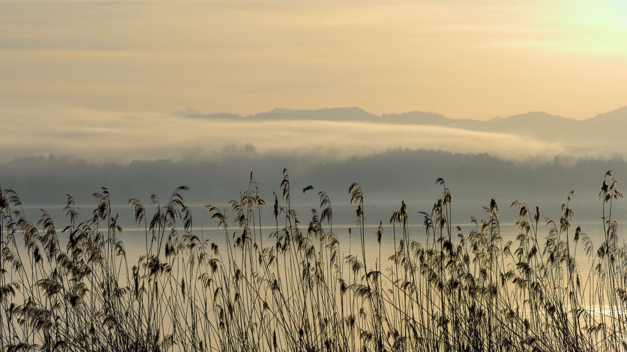 Greifensee, Fällanden, Switzerland