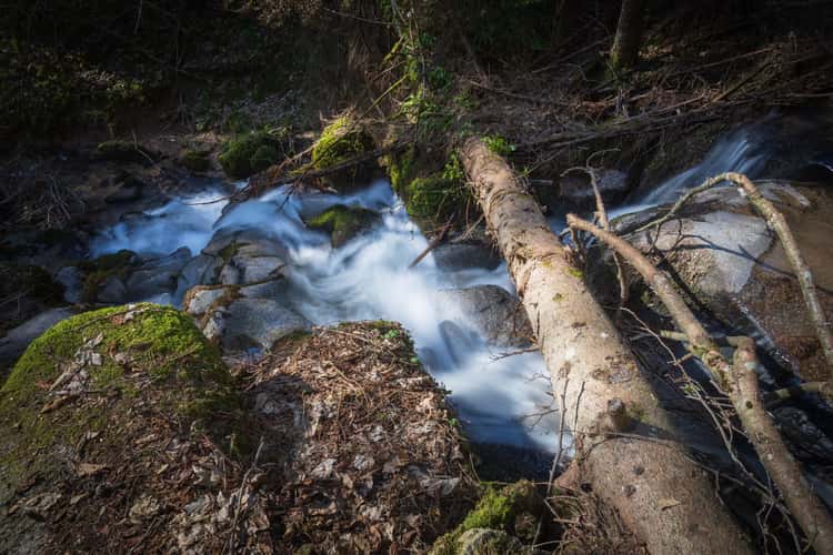 Höllschlucht Endenburg