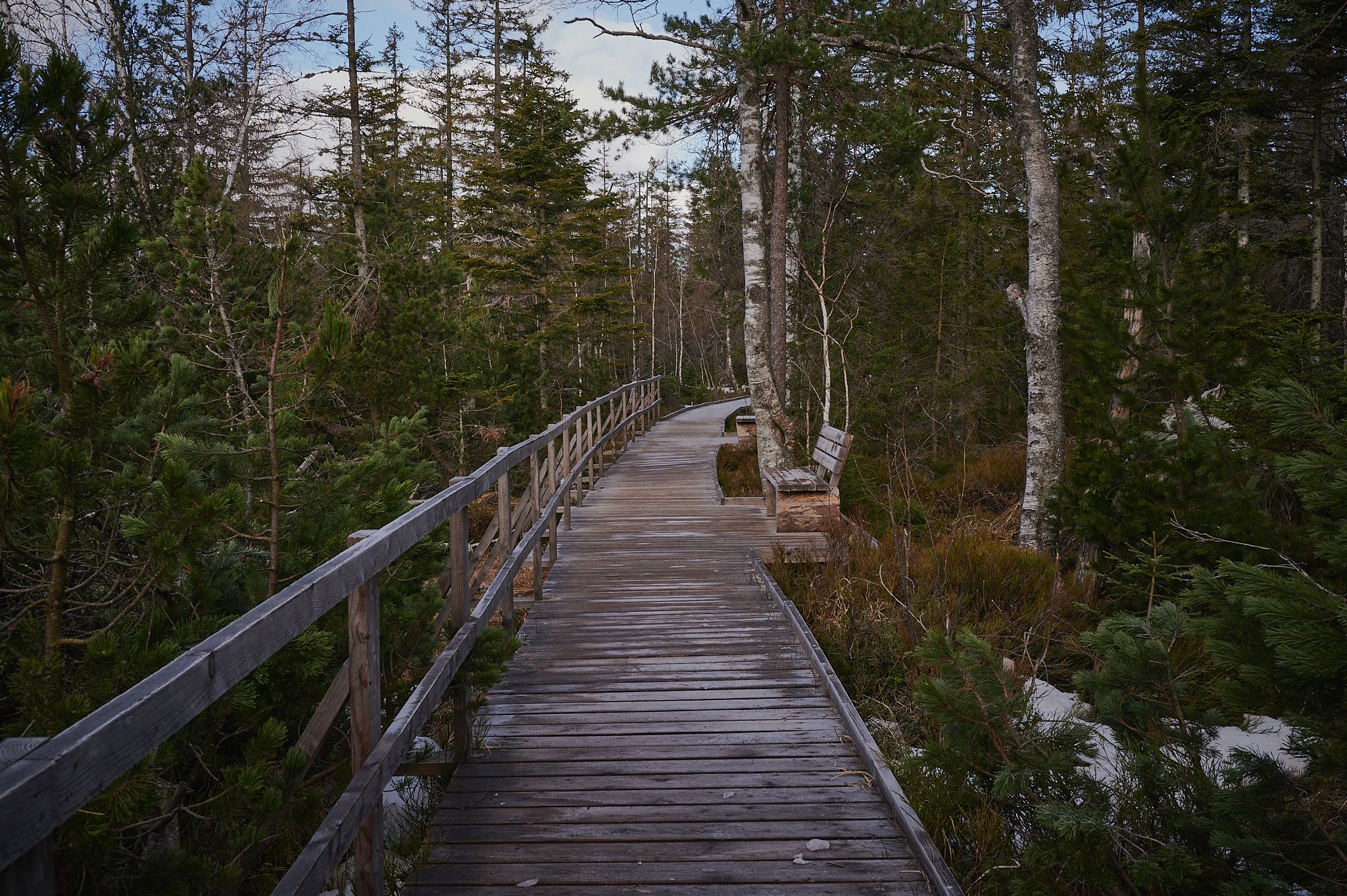 Hohlohsee, Germany