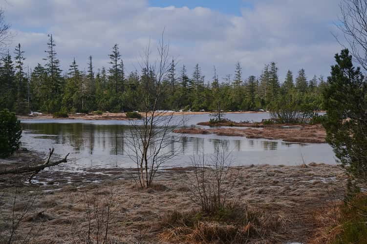 Hohlohsee