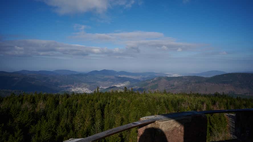 View from Hohloh Tower, Kaltenbronn