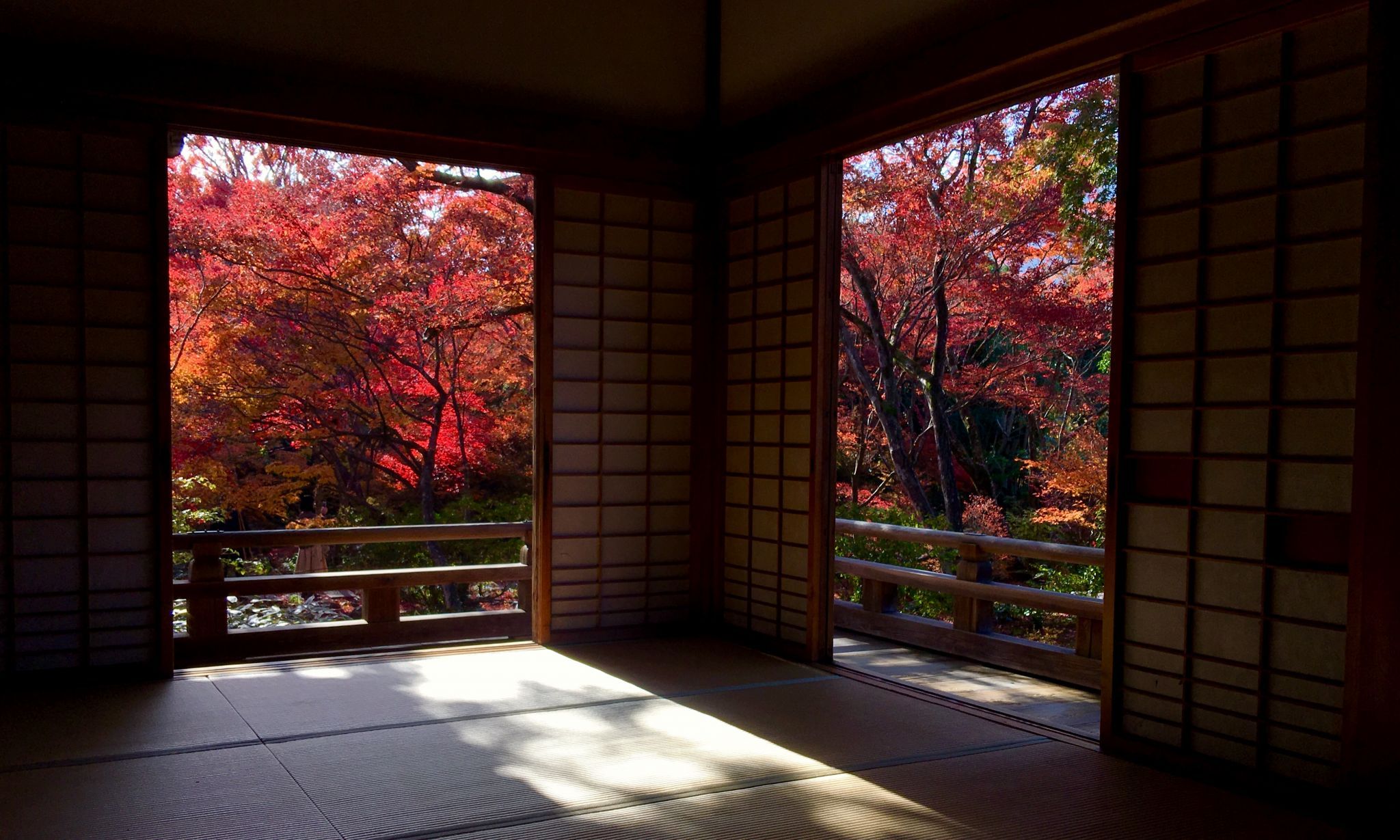 Hokyoin Temple, Japan