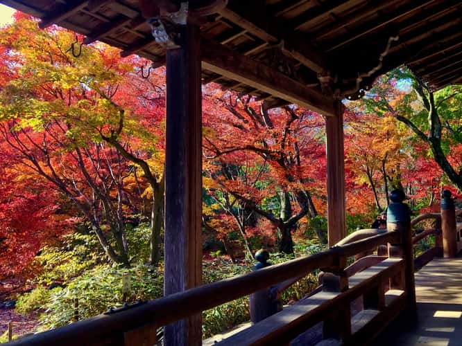 Hokyoin Temple