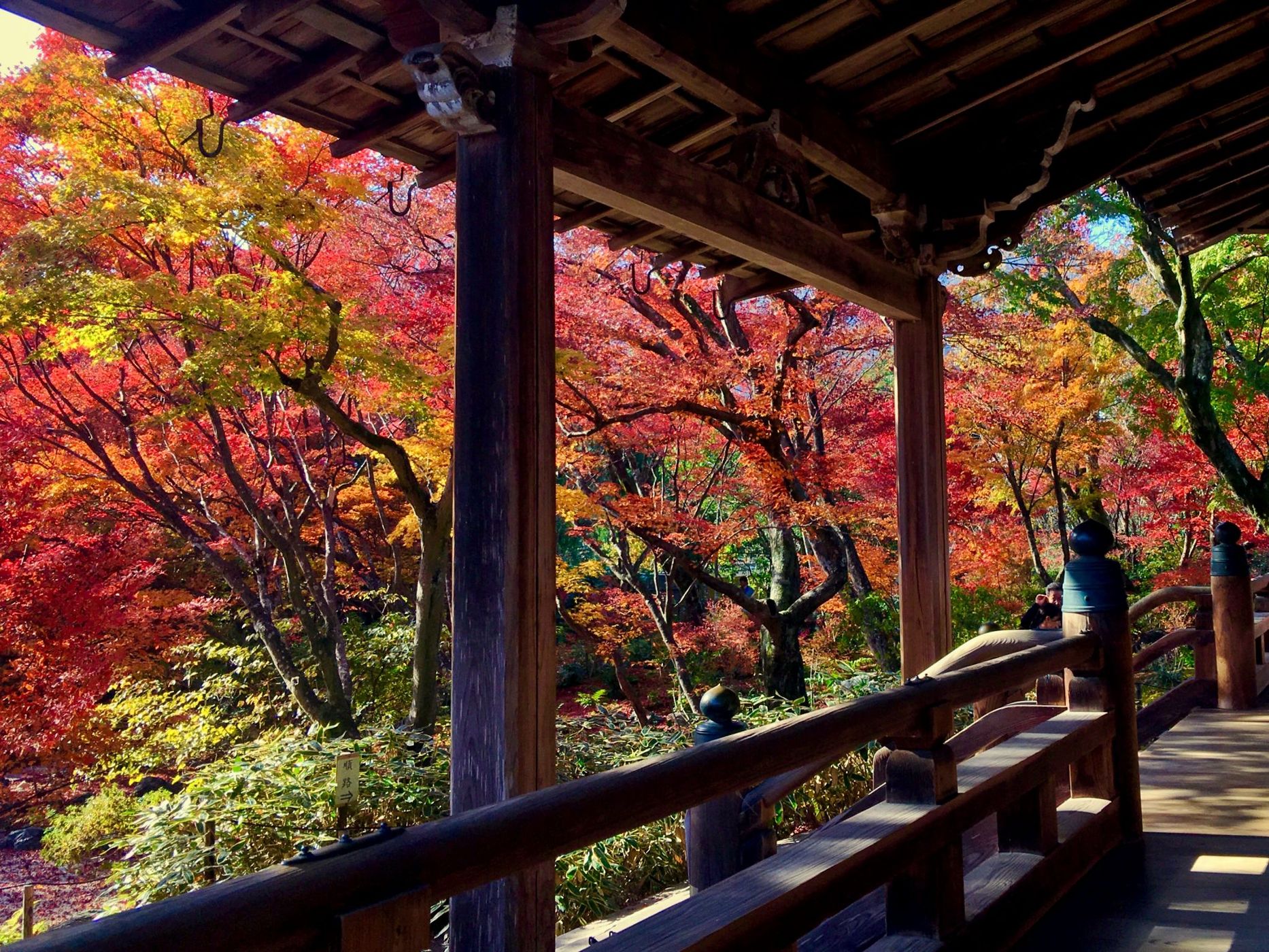 Hokyoin Temple, Japan