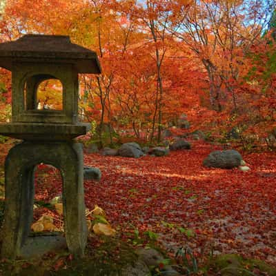 Hokyoin Temple, Japan