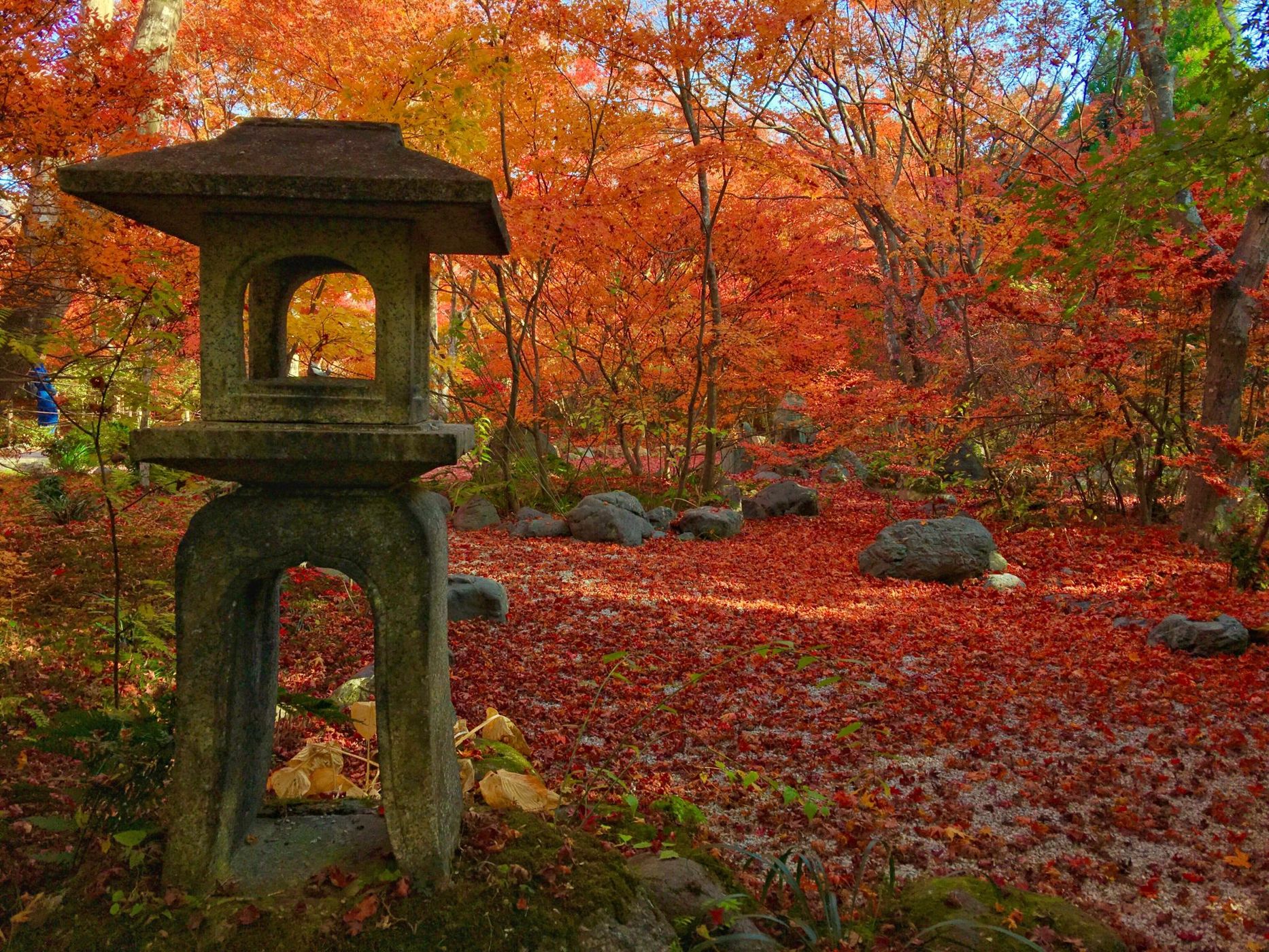 Hokyoin Temple, Japan