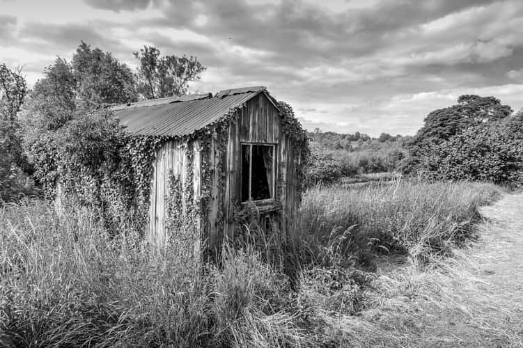Hut