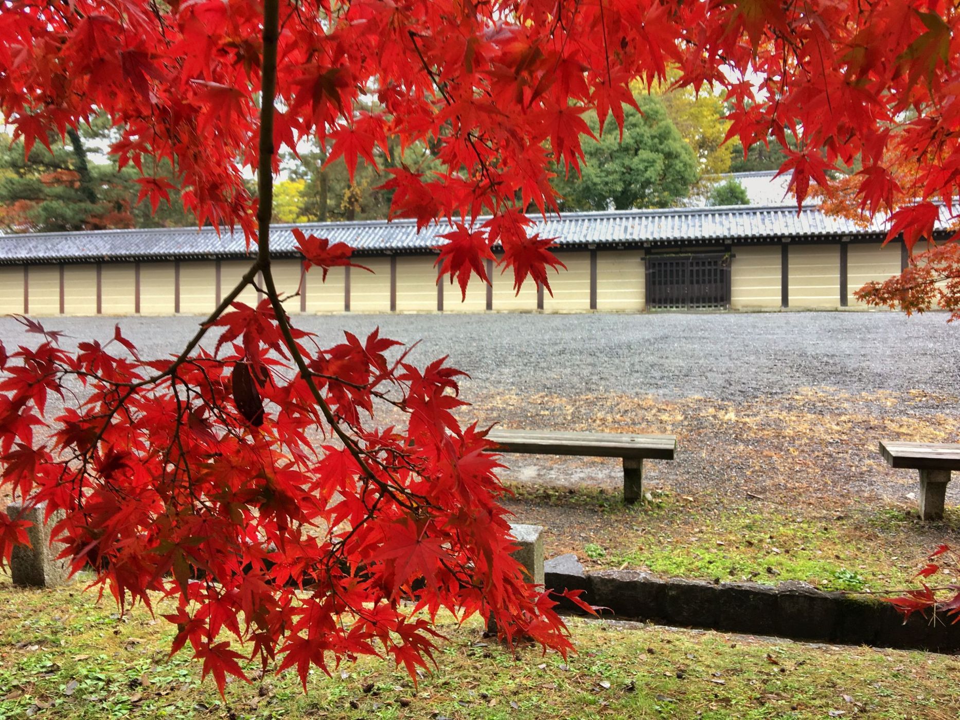 Kyoto Imperial Garden (Kyoto Gyoen), Japan