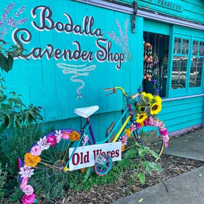 Lavender Shop Bodalla South Coast NSW, Australia