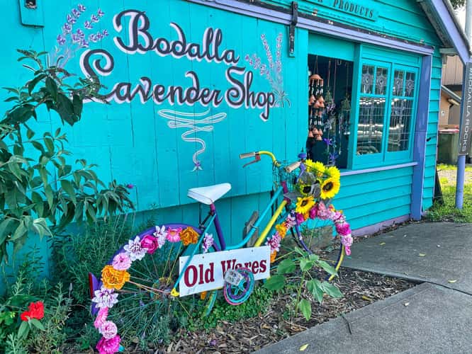 Lavender Shop Bodalla South Coast NSW